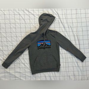 Patagonia Gray Hoodie. Size Small.